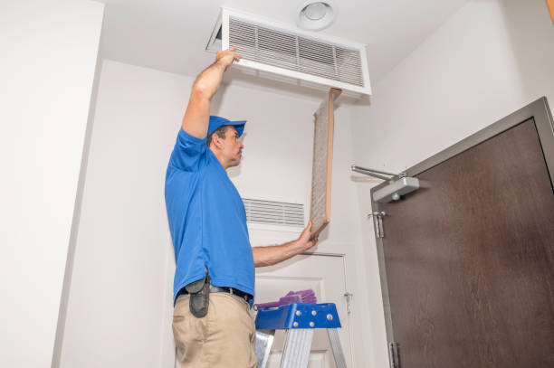 Best Air Duct Mold Removal  in USA